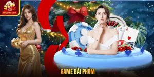 Game Bài Phỏm - Cách Chơi Giúp Bạn Hạ Bài Chỉ Sau 3 Vòng