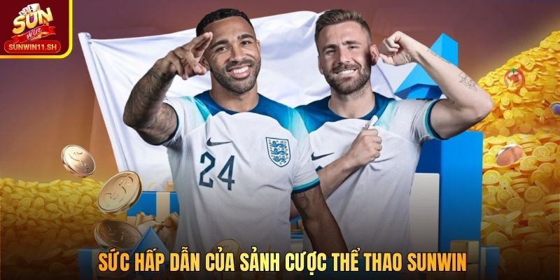 Sức hấp dẫn của sảnh cược thể thao SUNWIN